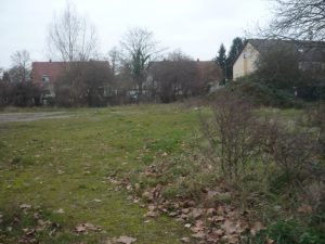 Wildwuchs und Schotter auf dem früheren Festplatz Niederbrückl