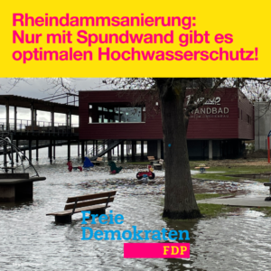 Rheindammsanierung: Nur mit Spundwand gibt es optimalen Hochwasserschutz!